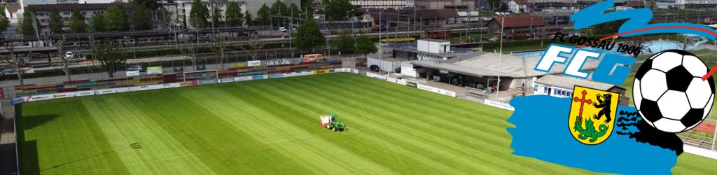 Sportplatz im riet